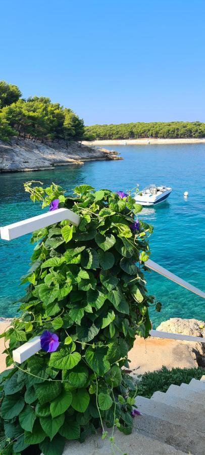 Maneni Villa Rogoznica  Luaran gambar